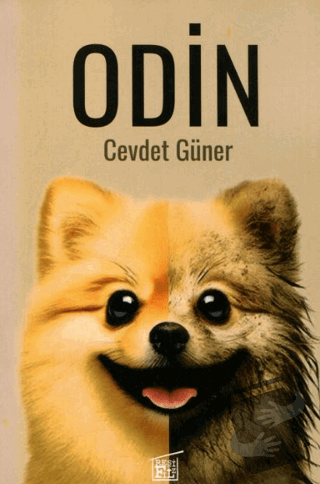 Odin - Cevdet Güner - Filtresiz Kitap - Fiyatı - Yorumları - Satın Al