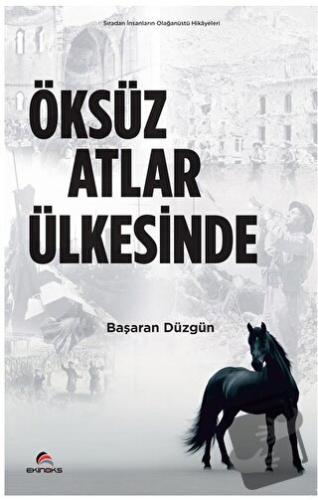 Öksüz Atlar Ülkesinde - Başaran Düzgün - Ekinoks Yayın Grubu - Fiyatı 