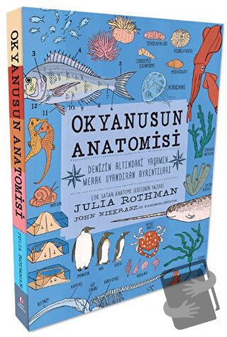 Okyanusun Anatomisi - Julia Rothman - ODTÜ Geliştirme Vakfı Yayıncılık