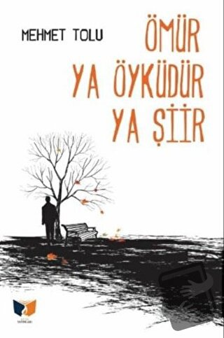 Ömür Ya Öyküdür Ya Şiir - Mehmet Tolu - Ateş Yayınları - Fiyatı - Yoru