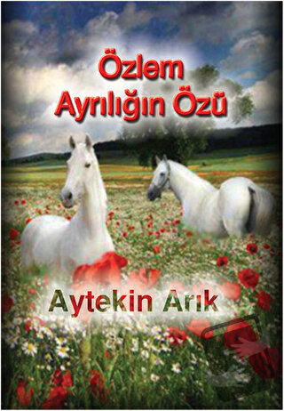 Özlem Ayrılığın Özü - Aytekin Arık - İnsancıl Yayınları - Fiyatı - Yor