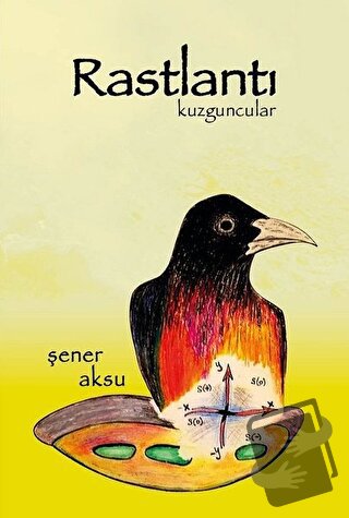 Rastlantı - Şener Aksu - Aydili Sanat Yayınları - Fiyatı - Yorumları -