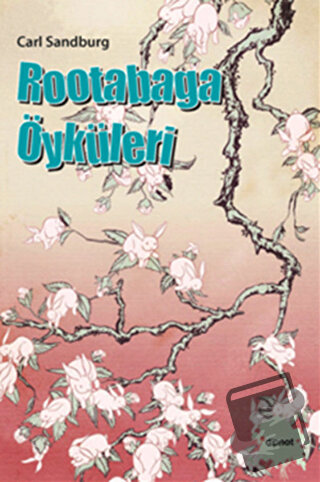 Rootabaga Öyküleri - Carl Sandburg - Dipnot Yayınları - Fiyatı - Yorum