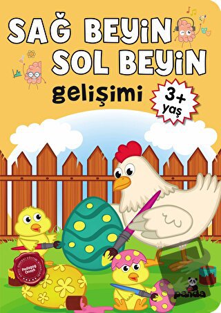 Sağ Beyin - Sol Beyin Gelişimi +3 Yaş - Kolektif - Beyaz Panda Yayınla