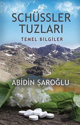 Schüssler Tuzları - Abidin Şaroğlu - Onbir Yayınları - Fiyatı - Yoruml