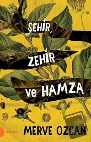 Şehir Zehir ve Hamza - Merve Özcan - Portakal Kitap - Fiyatı - Yorumla