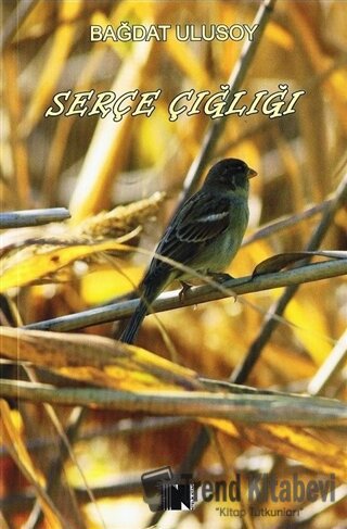 Serçe Çığlığı - Bağdat Ulusoy - Nitelik Kitap - Fiyatı - Yorumları - S