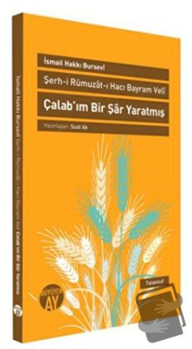 Şerh-i Rümuzat-ı Hacı Bayram Veli - Çalab’ım Bir Şar Yaratmış - İsmail