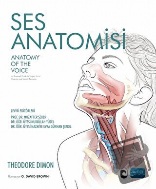 Ses Anatomisi - Theodore Dimon - Nobel Akademik Yayıncılık - Fiyatı - 