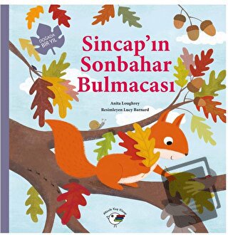 Sincap’ın Sonbahar Bulmacası – Doğada Bir Yıl - Anita Loughrey - Minik