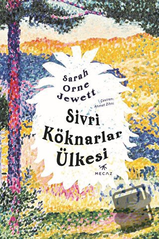 Sivri Köknarlar Ülkesi - Sarah Orne Jewett - Mecaz Yayınları - Fiyatı 