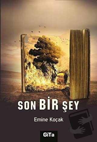 Son Bir Şey - Emine Koçak - Gita Yayınları - Fiyatı - Yorumları - Satı