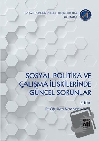 Sosyal Politika ve Çalışma İlişkilerinde Güncel Sorunlar - Mete Kaan N