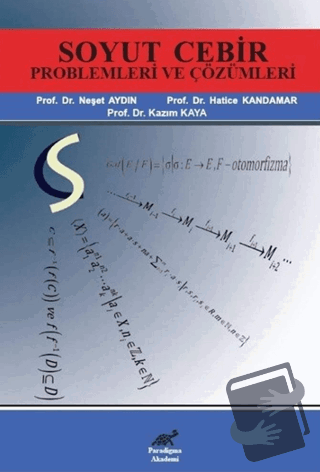 Soyut Cebir Problemleri ve Çözümleri - Hatice Kandamar - Paradigma Aka