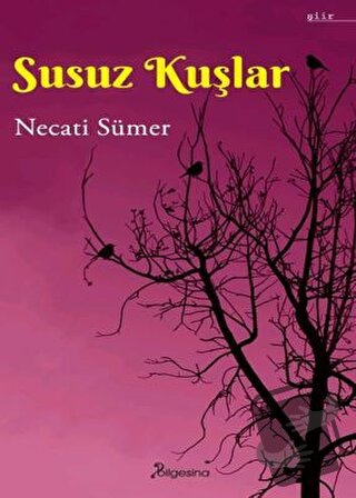 Susuz Kuşlar - Necati Sümer - Bilgesina Yayınları - Fiyatı - Yorumları