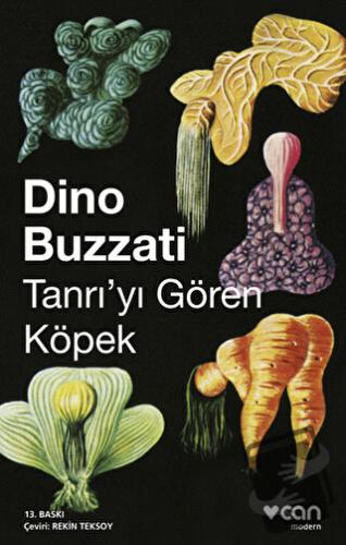 Tanrıyı Gören Köpek - Dino Buzzati - Can Yayınları - Fiyatı - Yorumlar