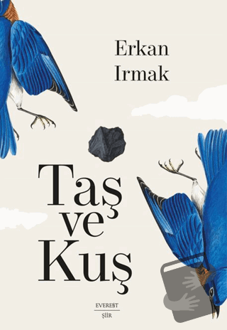 Taş ve Kuş - Erkan Irmak - Everest Yayınları - Fiyatı - Yorumları - Sa