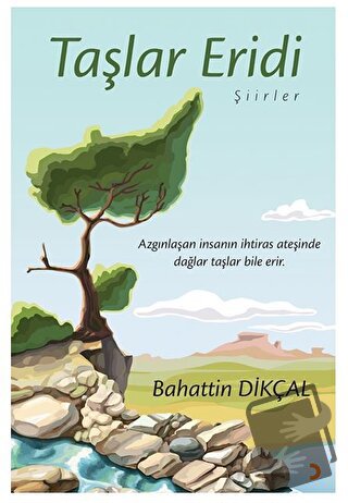 Taşlar Eridi - Bahattin Dikçal - Cinius Yayınları - Fiyatı - Yorumları