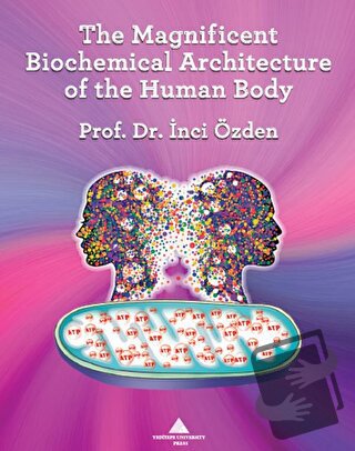 The Magnificent Biochemical Architecture of the Human Body - İnci Özde