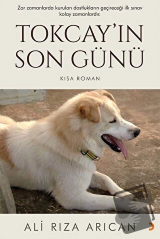 Tokcay’ın Son Günü - Ali Rıza Arıcan - Cinius Yayınları - Fiyatı - Yor