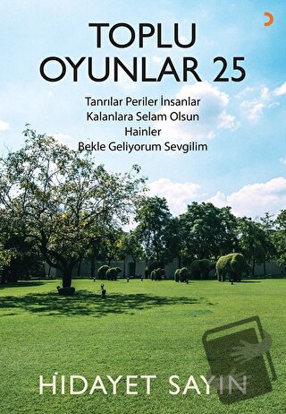 Toplu Oyunlar 25 - Hidayet Sayın - Cinius Yayınları - Fiyatı - Yorumla