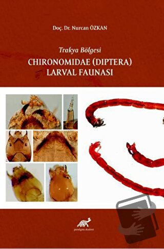 Trakya Bölgesi Chıronomıdae (Dıptera) Larval Faunası - Nurcan Özkan - 