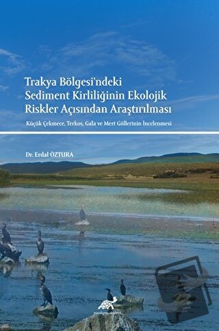 Trakya Bölgesi'ndeki Sediment Kirliliğinin Ekolojik Riskler Açısından 