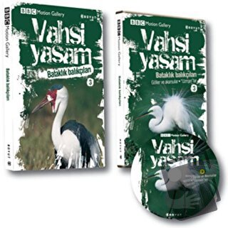 Vahşi Yaşam 2 - Bataklık Balıkçıları - David Chandler - Boyut Yayın Gr