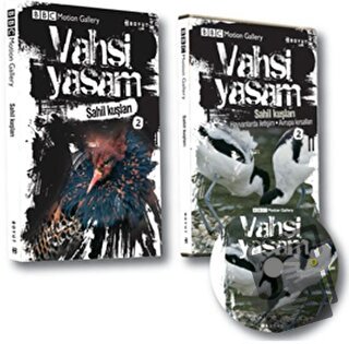 Vahşi Yaşam 2 - Sahil Kuşları - Derek Niemann - Boyut Yayın Grubu - Fi