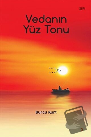 Vedanın Yüz Tonu - Burcu Kurt - Cinius Yayınları - Fiyatı - Yorumları 