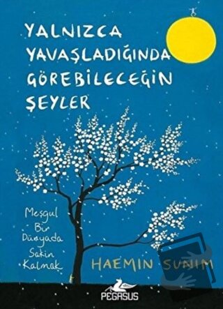 Yalnızca Yavaşladığında Görebileceğin Şeyler - Haemin Sunim - Pegasus 