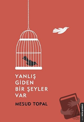 Yanlış Giden Bir Şeyler Var - Mesud Topal - Destek Yayınları - Fiyatı 