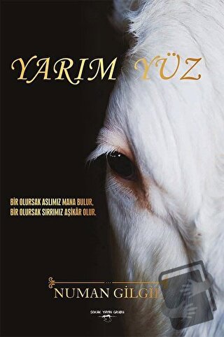 Yarım Yüz - Numan Gilgil - Sokak Kitapları Yayınları - Fiyatı - Yoruml