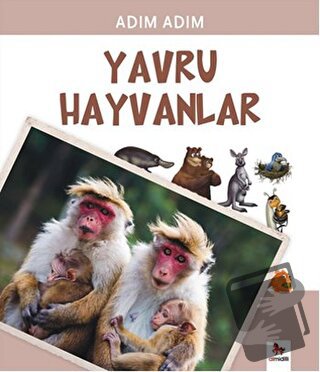 Yavru Hayvanlar - Fiametta Dogi - Almidilli - Fiyatı - Yorumları - Sat