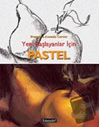 Yeni Başlayanlar İçin Pastel - Francisco Asensio Cerver - Literatür Ya