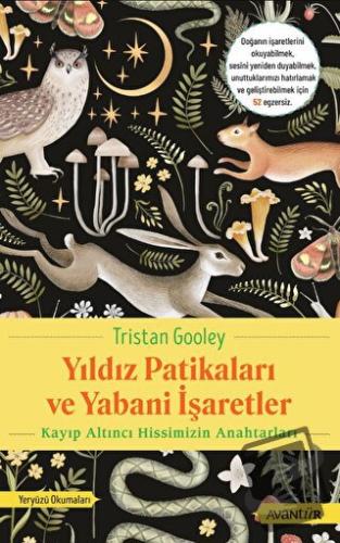 Yıldız Patikaları ve Yabani İşaretler Kayıp Altıncı Hissimizin Anahtar