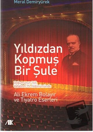 Yıldızdan Kopmuş Bir Şule - Meral Demiryürek - Akademik Kitaplar - Fiy